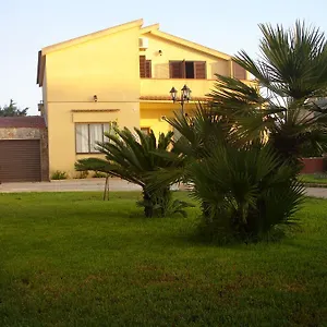 Ulivo , Ragusa Italia